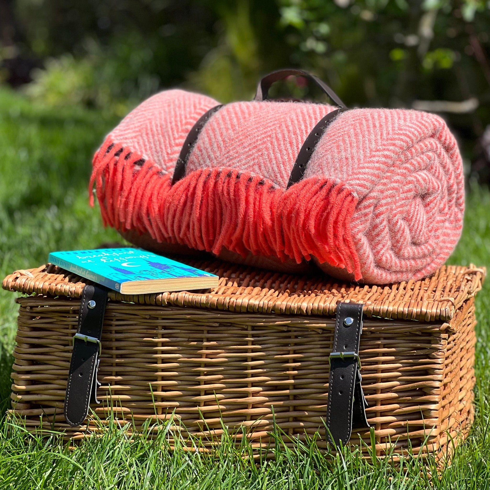 Picnic blanket on sale with handle