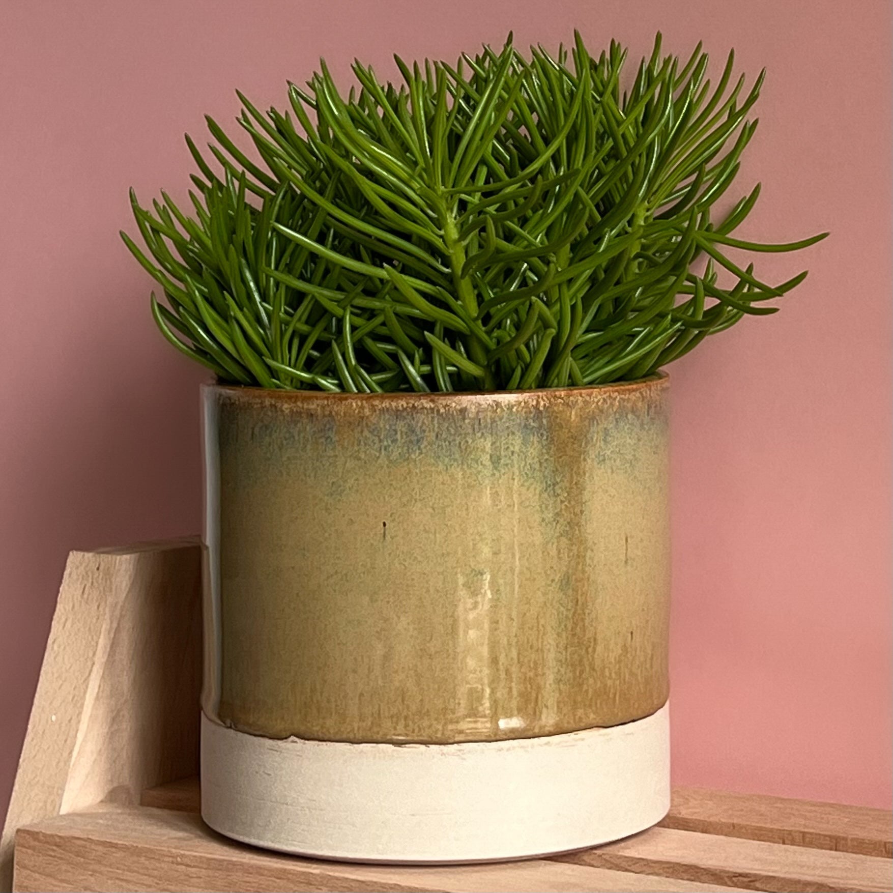 large indoor plant pots uk Handmade Ceramic Indoor Plant Pot in Forest Green